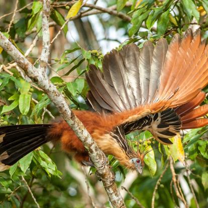 Voyage en Equateur : Vacances En Famille En Equateur